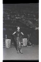 登錄號:KH2002.012.0393藏品圖，第16張