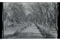 登錄號:KH2002.012.0409藏品圖，第9張