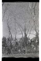 登錄號:KH2002.012.0409藏品圖，第11張