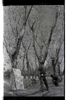 登錄號:KH2002.012.0409藏品圖，第13張