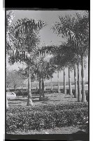 登錄號:KH2002.012.0409藏品圖，第17張