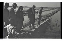 登錄號:KH2002.012.0435藏品圖，第5張