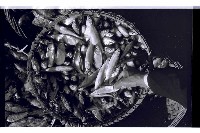 登錄號:KH2002.012.0435藏品圖，第7張