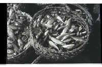 登錄號:KH2002.012.0435藏品圖，第8張