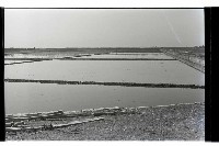 登錄號:KH2002.012.0435藏品圖，第18張