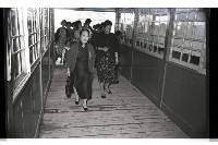 登錄號:KH2002.012.0449藏品圖，第16張