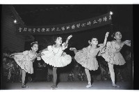 登錄號:KH2002.012.0460藏品圖，第18張