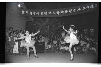 登錄號:KH2002.012.0460藏品圖，第20張