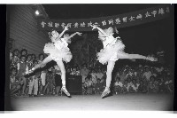 登錄號:KH2002.012.0460藏品圖，第21張