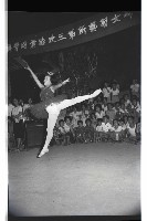 登錄號:KH2002.012.0460藏品圖，第22張