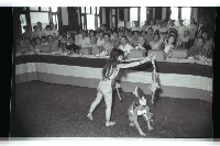 登錄號:KH2002.012.0471藏品圖，第6張