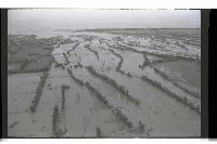 葛樂禮颱風襲擊臺灣造成的傷害藏品圖，第8張