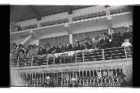 登錄號:KH2002.012.0530藏品圖，第11張