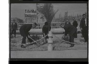 登錄號:KH2002.012.0540藏品圖，第12張