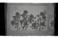 登錄號:KH2002.012.0541藏品圖，第7張