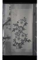 登錄號:KH2002.012.0542藏品圖，第9張