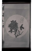 登錄號:KH2002.012.0542藏品圖，第11張