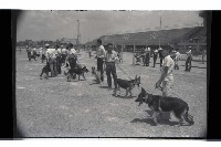 登錄號:KH2002.012.0545藏品圖，第3張