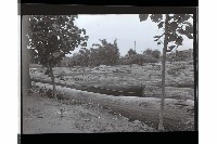 登錄號:KH2002.012.0554藏品圖，第11張