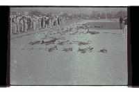 登錄號:KH2002.012.0573藏品圖，第22張