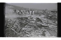 登錄號:KH2002.012.0578藏品圖，第5張