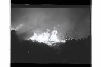 登錄號:KH2002.012.0578藏品圖，第19張