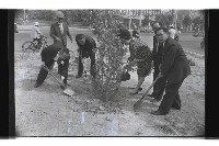 登錄號:KH2002.012.0589藏品圖，第3張