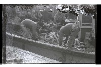 登錄號:KH2002.012.0633藏品圖，第1張