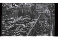 登錄號:KH2002.012.0633藏品圖，第4張