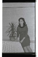 登錄號:KH2002.012.0644藏品圖，第5張