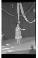 登錄號:KH2002.012.0644藏品圖，第14張