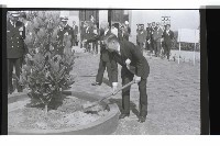 登錄號:KH2002.012.0645藏品圖，第10張