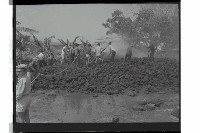 登錄號:KH2002.012.0646藏品圖，第3張