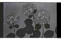 登錄號:KH2002.012.0660藏品圖，第15張