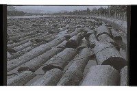 登錄號:KH2002.012.0662藏品圖，第2張