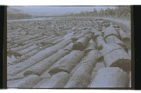 登錄號:KH2002.012.0662藏品圖，第3張