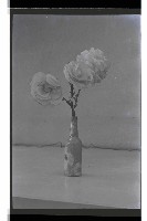 登錄號:KH2002.012.0674藏品圖，第9張