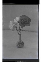 登錄號:KH2002.012.0674藏品圖，第10張