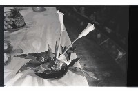 登錄號:KH2002.012.0707藏品圖，第3張