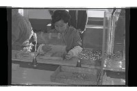 登錄號:KH2002.012.0765藏品圖，第7張