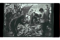 登錄號:KH2002.012.0765藏品圖，第56張