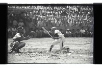 登錄號:KH2002.012.0766藏品圖，第8張