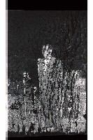 登錄號:KH2002.012.0777藏品圖，第23張