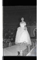 登錄號:KH2002.012.0782藏品圖，第60張