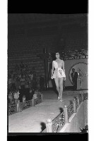 登錄號:KH2002.012.0783藏品圖，第17張