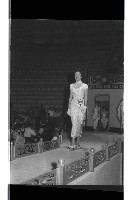 登錄號:KH2002.012.0783藏品圖，第53張