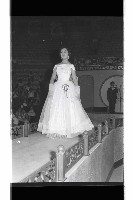 登錄號:KH2002.012.0783藏品圖，第83張