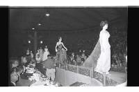 登錄號:KH2002.012.0784藏品圖，第4張