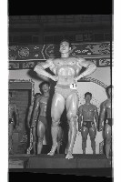 登錄號:KH2002.012.0785藏品圖，第13張