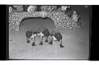 登錄號:KH2002.012.0788藏品圖，第2張